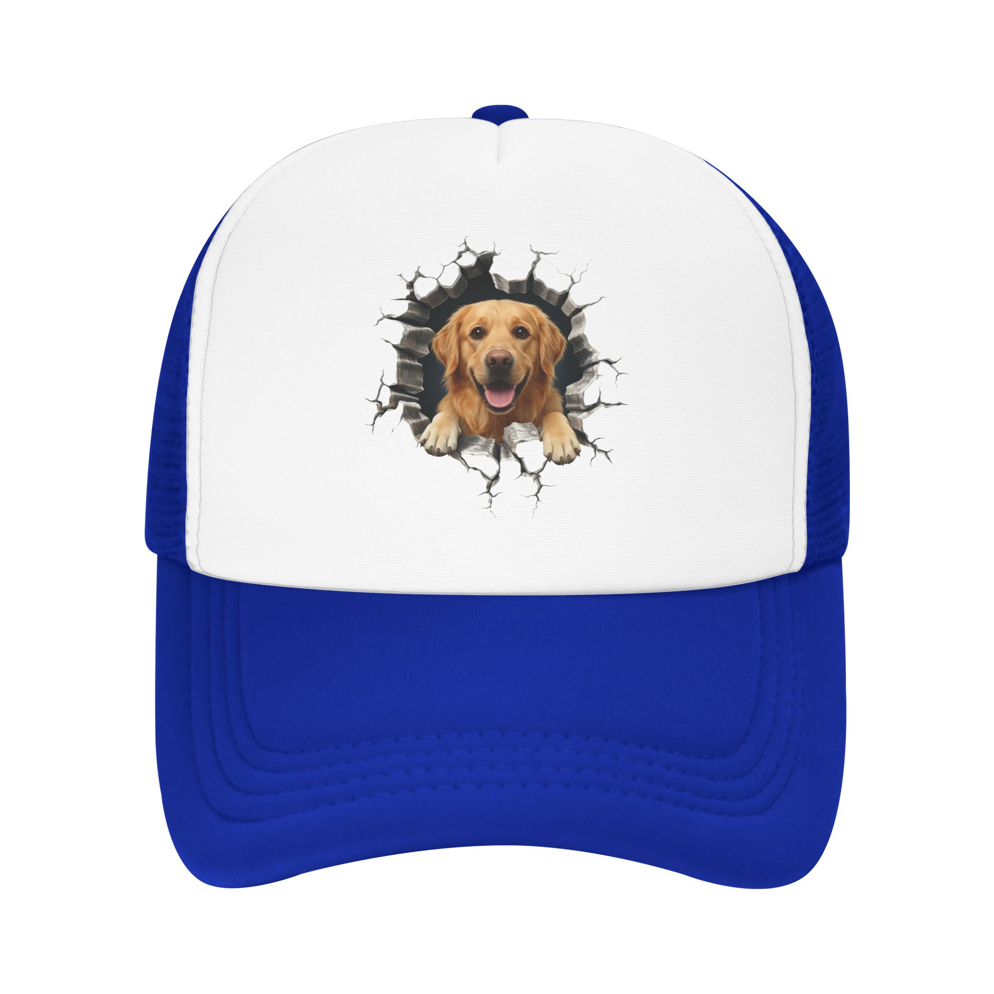 Boné de Beisebol Golden Retrie - Hat Snapback Cap avaliação e preço